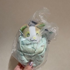 ポケモン　ワンパチ　一緒にピクニック⭐︎おでかけマスコット
