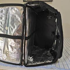 やや小さめのデリバリーバッグの画像