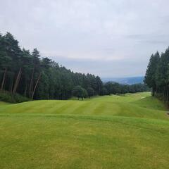 ゴルフラウンド仲間募集⛳