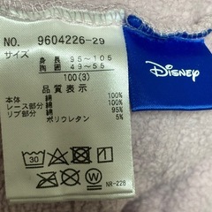 プティマイン　100　の画像