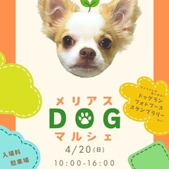 4／20 メリアスdogマルシェ🐣イースターフォト🐣犬イベ…