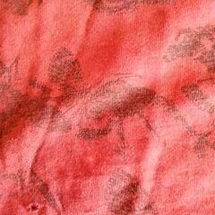 HORACE ダメージTシャツ　値下げしました！の画像