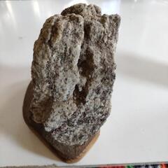 【２．８ｋｇ！希少！】南極の石（中）手作りの台座付きの画像