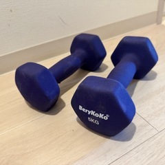 【決定しました】5kg ダンベル