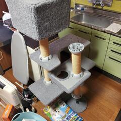【限界価格、新品未使用】猫タワー＆未開封猫砂7ℓ2個セット