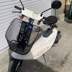 完売ホンダ　ズーク　ZOOKの画像