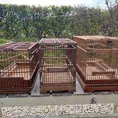 小鳥　　竹製　　鳥カゴ
の画像