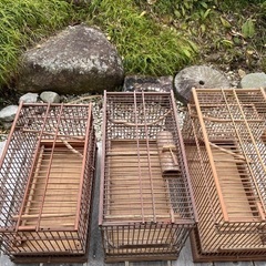 小鳥　　竹製　　鳥カゴ
