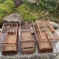 小鳥　　竹製　　鳥カゴ
の画像