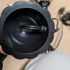 無料★ひな飾りの画像