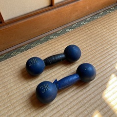 鉄アレー
