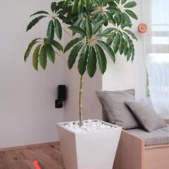 植木鉢の受け皿　大型