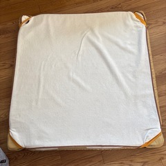 (決定！)大型犬用介護マット中古の画像