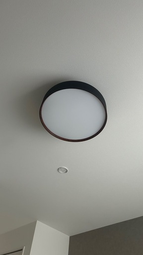 アートワークスタジオ Glow グロー 4000 LED シーリングランプ AW-0555E ブラックライトウッド