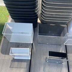 メダカ飼育容器の画像