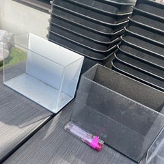 メダカ飼育容器の画像