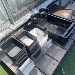 メダカ飼育容器の画像