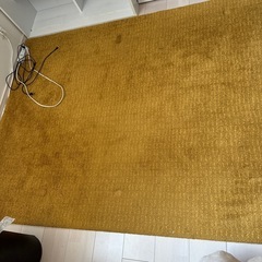 IKEA購入 ラグの画像