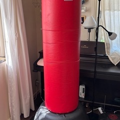 マーシャルワールドのスタンディングバック