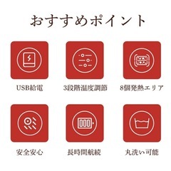 電気毛布の画像