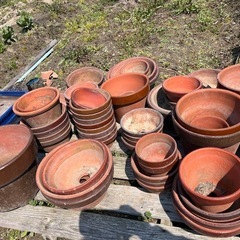 植木鉢　無料でどうぞ！の画像