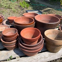 植木鉢　無料でどうぞ！の画像