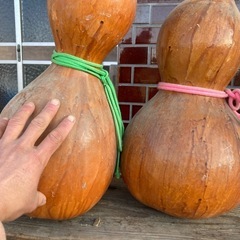 ひょうたんの画像