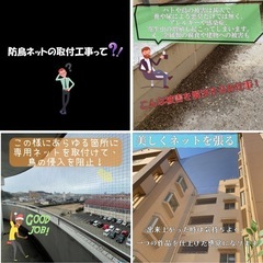 ◆あと一人◆一人親方の男性大募集 【尼崎市】防鳥ネット 取付け工事 初心者大歓迎 20代〜40代 週3〜OKの画像