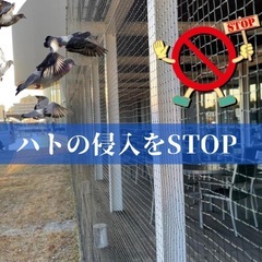 ◆あと一人◆一人親方の男性大募集 【尼崎市】防鳥ネット 取付け工事 初心者大歓迎 20代〜40代 週3〜OKの画像