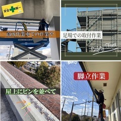 ◆あと一人◆一人親方の男性大募集 【尼崎市】防鳥ネット 取付け工事 初心者大歓迎 20代〜40代 週3〜OKの画像