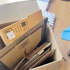 ダンボール