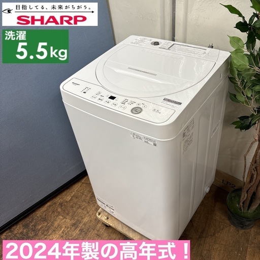 I349  ジモティー限定価格！ 2024年製の高年式♪ SHARP 洗濯機 （5.5㎏） ⭐ 動作確認済 ⭐ クリーニング済