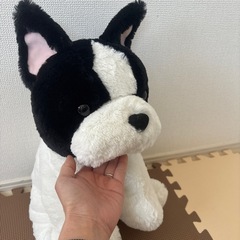 ぬいぐるみの画像