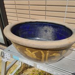 睡蓮鉢、引き取り限定