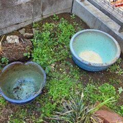 陶器鉢や瀬戸物鉢　欲しいだけ