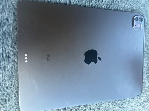 22日中までに受け取り可能な方限定！iPadPro11inch 第三世代 256GB