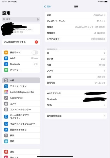 22日中までに受け取り可能な方限定！iPadPro11inch 第三世代 256GB