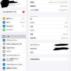 22日中までに受け取り可能な方限定！iPadPro11inch 第三世代 256GBの画像