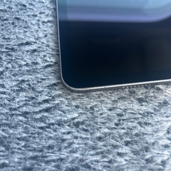 22日中までに受け取り可能な方限定！iPadPro11inch 第三世代 256GBの画像
