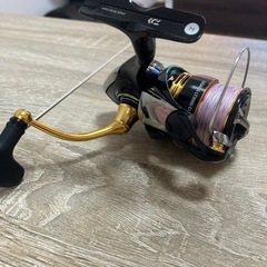 本日限定早い者勝ち　23ディアルーナ96mh.ディアルーナXR B806m 23レガリス3000CXH その他リールルアー の画像