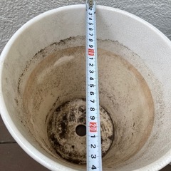 【取引完了】鉢植え　中2個の画像