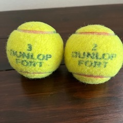 縄跳びの縄➕テニスボール🎾の画像