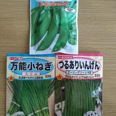 少量 3種類    【つるありいんげん 】【万能小ねぎ】 【スナ...