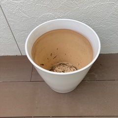 【取引完了】鉢植え　大1の画像