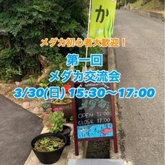 【初心者大歓迎！】メダカ交流会を開催します！3/30 めだか