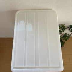 4つセット　ニトリ　衣装ケース　収納ケース　収納ボックス　収納の画像
