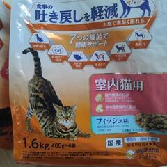 猫ちゃんのご飯2kgの画像
