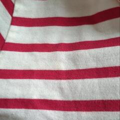 半袖赤ボーダーセーラーＴシャツの画像