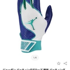 🉐ジョーダン　手袋　グローブ　