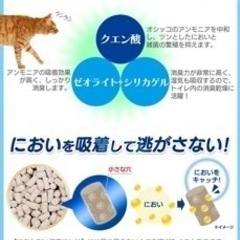 猫砂 システムトイレ クエン酸入り 香り付き 6L×2袋の画像